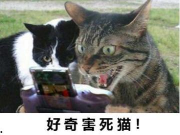 动物吃瓜搞笑段子视频大全,笑料横生视频大盘点