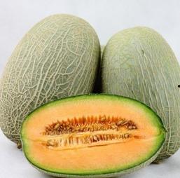 吃哈密瓜吐籽怎么办啊视频,轻松应对哈密瓜吐籽烦恼