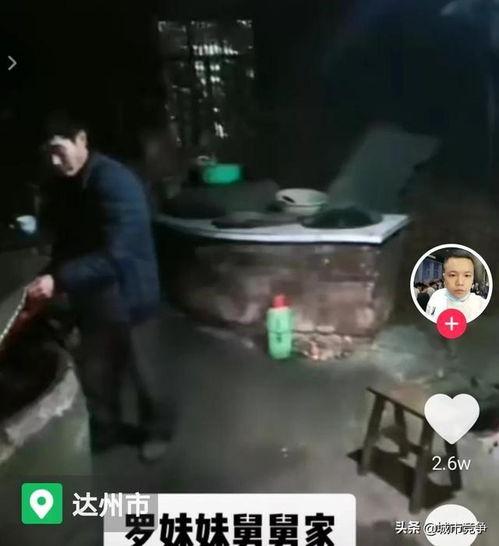 南召吃瓜群众事件视频播放,网络视频揭示的真相与争议