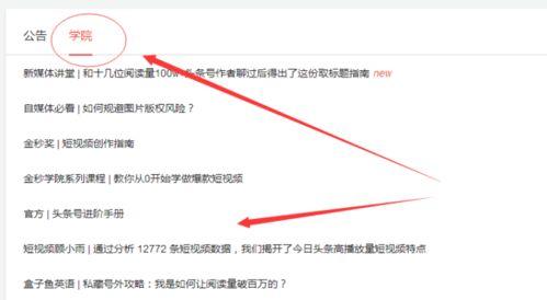 吃瓜技能视频教程,视频教程带你轻松入门
