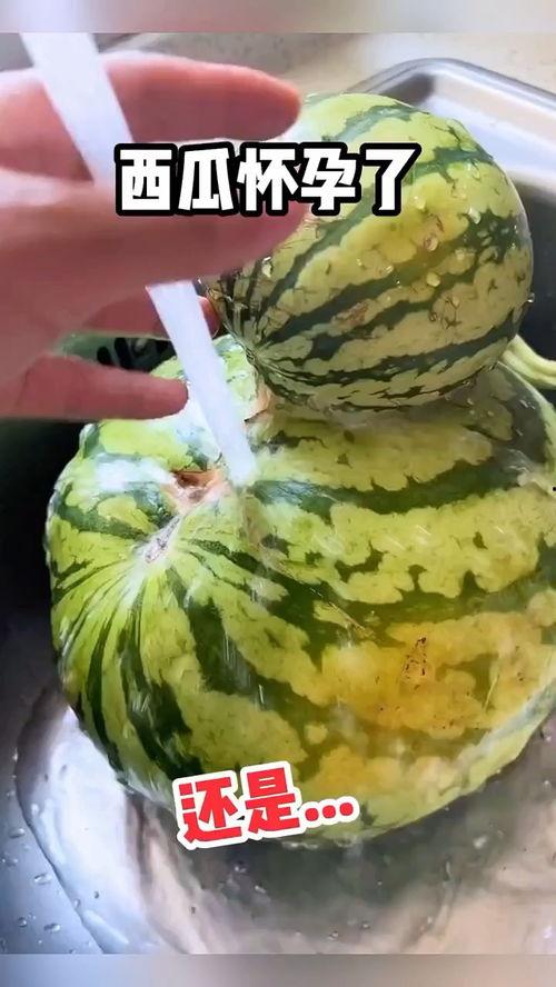 中文吃瓜搞笑视频大全,让你笑到肚子疼