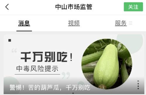 贵阳人吃葫芦瓜视频,一口咬下，满口生津