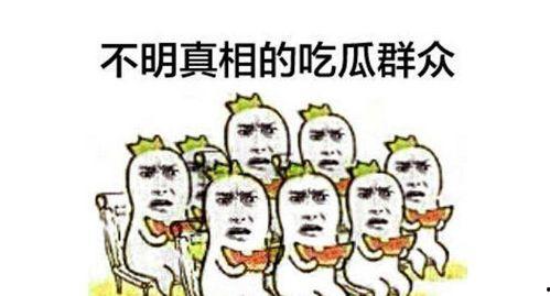 吃瓜群众萌吃视频,吃瓜群众带你领略美食世界