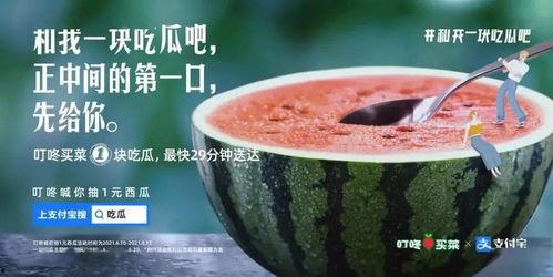 吃瓜吧的视频,一场视觉盛宴背后的故事