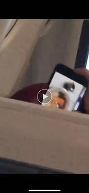 吃瓜吧的视频,一场视觉盛宴背后的故事