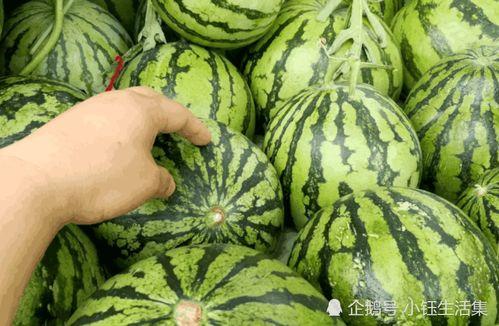 麒麟瓜又软又甜怎么吃视频,轻松解锁美味新吃法