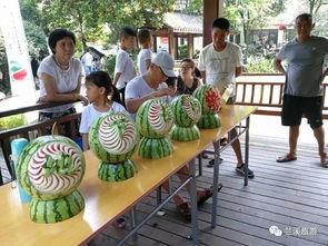 一堆吃瓜群众视频大全,吃瓜群众视频大全，笑料百出，欢乐无限
