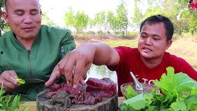 最牛的吃瓜哥视频大全,视频大全背后的热点追踪传奇