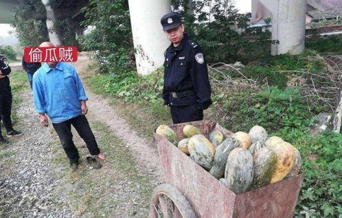 德宏最近吃瓜事件视频播放,视频播放引发热议，真相究竟如何？