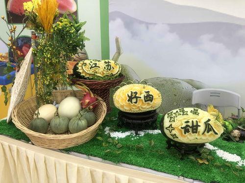 甜甜吃瓜视频,揭秘娱乐圈幕后故事