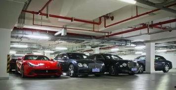 吃瓜车库视频在线观看,热门视频在线观看攻略