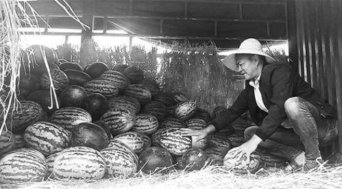 蚌埠吃瓜群众事件视频