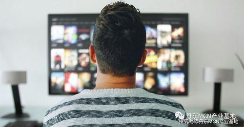 陈博豪现场吃瓜视频播放,网友热议