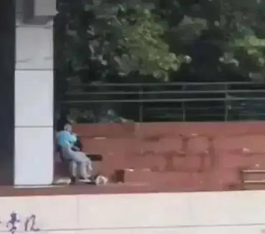 保定学院视频吃瓜,揭秘校园生活趣味瞬间