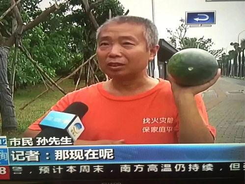 绍兴吃瓜新闻最新事件视频,视频揭秘惊人真相