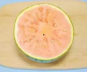 吃瓜吐皮的视频大全集,揭秘娱乐圈幕后故事大全集