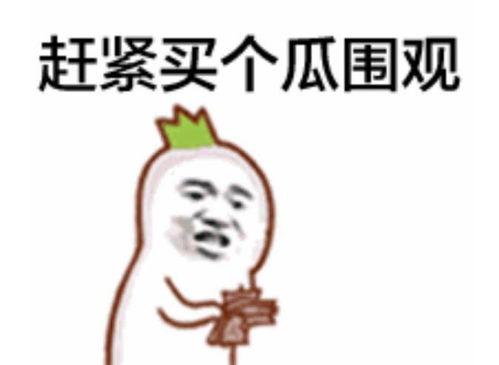 吃瓜群众能干什么呢视频,他们能做什么？