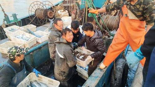 中国渔民吃瓜实拍视频,瓜果飘香，丰收景象