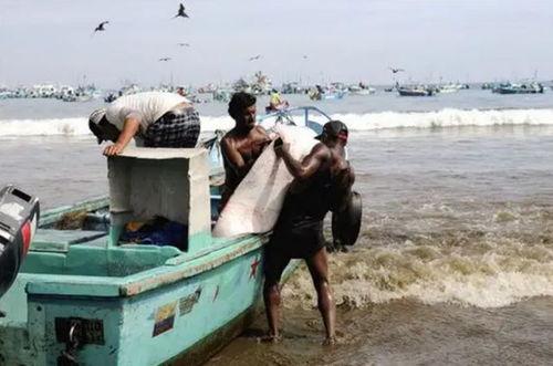 中国渔民吃瓜实拍视频,瓜果飘香，丰收景象