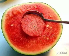 一些吃瓜的原视频在哪看,原视频观看指南