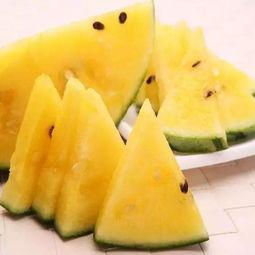 脆皮瓜怎么吃才好吃视频,视频教你轻松解锁最佳食用方法