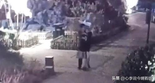 吃瓜了完整视频,热点事件背后的真相与反思