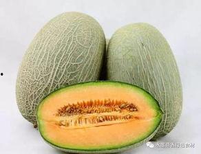 吃冰糖哈密瓜视频,冰糖哈密瓜美味视频大赏