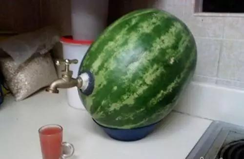 地主窝里横吃瓜视频,揭秘视频背后的惊人真相